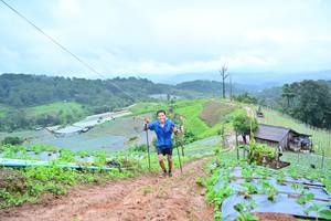 BIB: 1558
                            <button type="button" onclick="openModal(13378420)" class="btn btn-primary btn-sm float-right btn-popup" data-toggle="modal" data-target=".modal-high-quality">
                        <i class="fas fa-shopping-cart"></i> Add to Cart
                    </button>
                                            <button type="button" onclick="isThisMe(13378420, true)" class="btn btn-success btn-sm float-right btn-popup btn-isme hidden" data-toggle="tooltip" data-placement="bottom" title="นี่คือรูปของคุณใช่ไหม คลิกที่นี่เพื่อเอาเข้าอัลบั้ม">
                        <i class="fas fa-plus"></i> Add to album
                    </button>
                    <button type="button" onclick="isThisMe(13378420, false)" class="btn btn-warning btn-sm float-right btn-popup btn-isnotme hidden">
                        <i class="fas fa-ban"></i> Remove from album
                    </button>